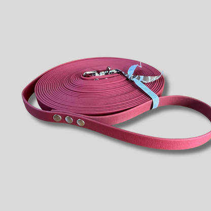 Longe pour chien en TPU 16mm