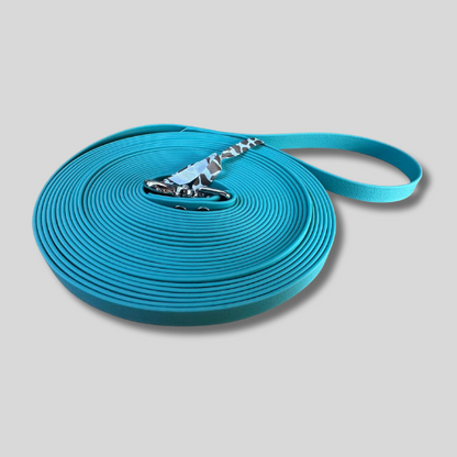 Longe pour chien en TPU 19mm