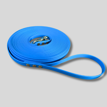 Longe pour chien en TPU 13mm