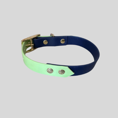 Collier Biothane®️ bicolore personnalisable pour chien