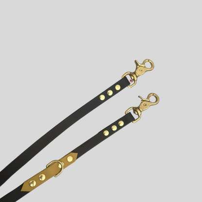 Laisse Biothane®️ pour chien multiposition bandoulière 2,50M