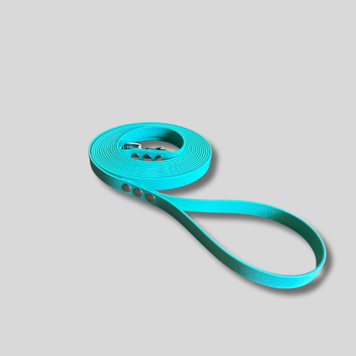 Longe pour chien en TPU 19mm