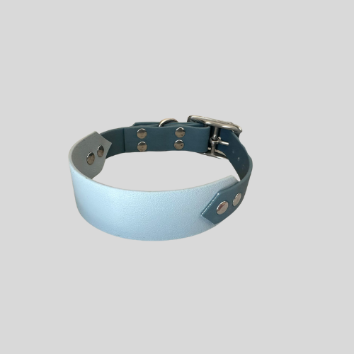 Collier Biothane®️ personnalisable bi-largeurs classique pour chien