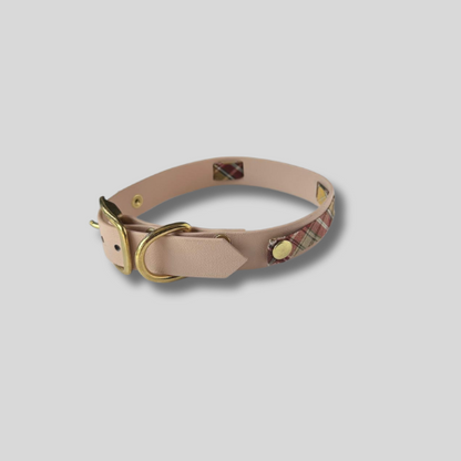 Collier en Biothane®️ poudre soleil & tissu interchangeable