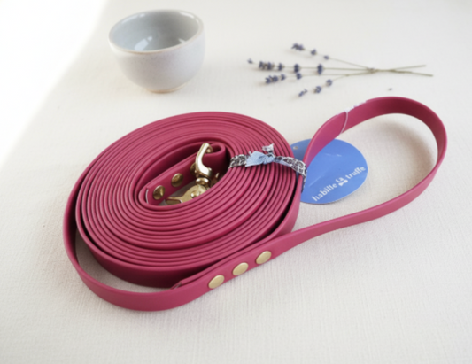 Longe Waterproof 8 M (Largeur 19mm)